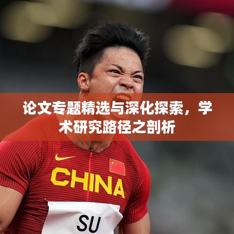 论文专题精选与深化探索,学术研究路径之剖析