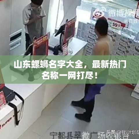 山东螺蛳名字大全，最新热门名称一网打尽！