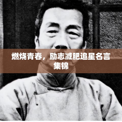 燃烧青春，励志减肥追星名言集锦