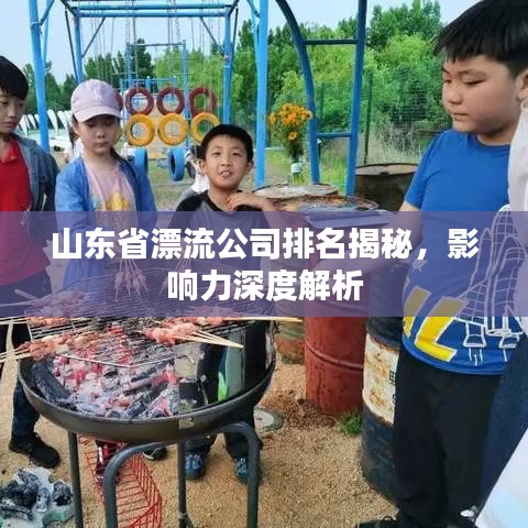 山东省漂流公司排名揭秘,影响力深度解析