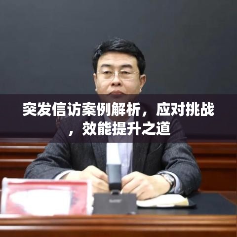 突发信访案例解析，应对挑战，效能提升之道