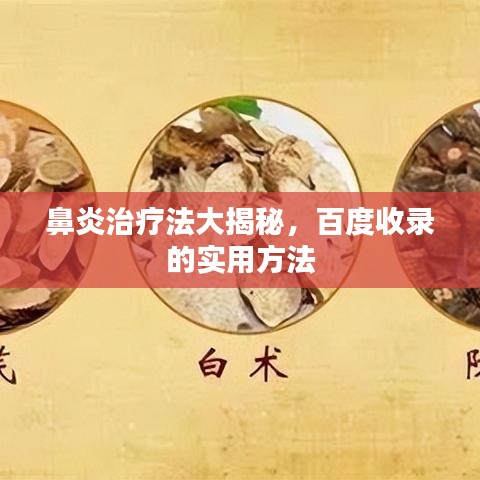 鼻炎治疗法大揭秘,百度收录的实用方法