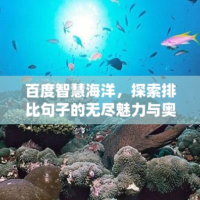百度智慧海洋,探索排比句子的无尽魅力与奥秘