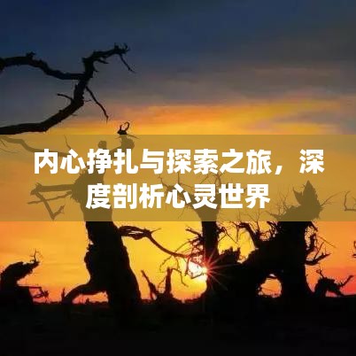 内心挣扎与探索之旅,深度剖析心灵世界