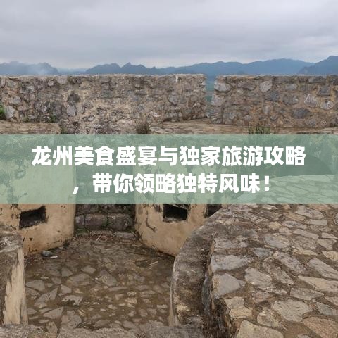 龙州美食盛宴与独家旅游攻略，带你领略独特风味！