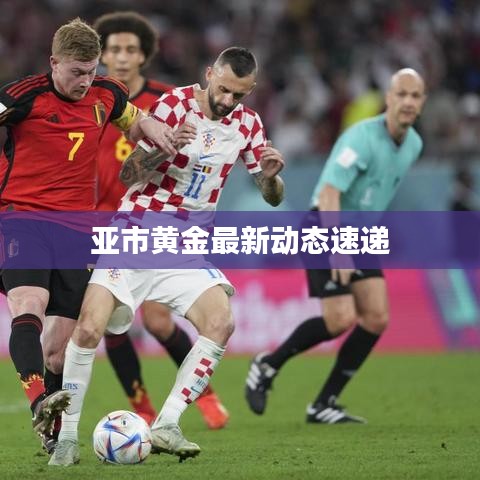 亚市黄金最新动态速递