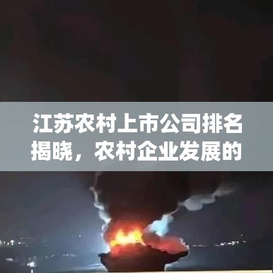 江苏农村上市公司排名揭晓，农村企业发展的崭新面貌大揭秘！
