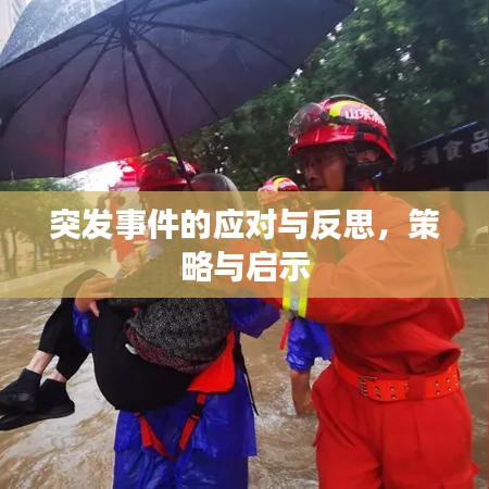 突发事件的应对与反思,策略与启示