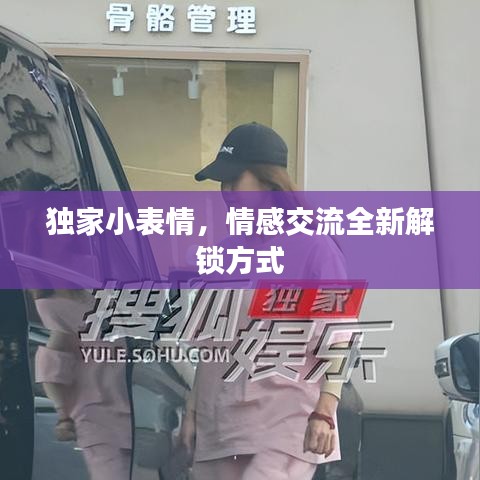 独家小表情，情感交流全新解锁方式