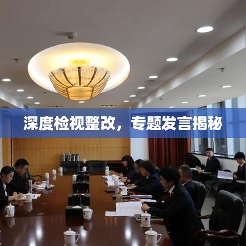 深度检视整改，专题发言揭秘