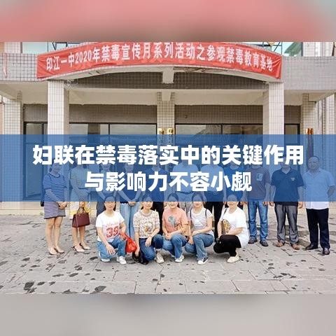 妇联在禁毒落实中的关键作用与影响力不容小觑