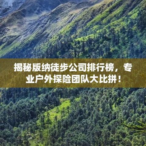揭秘版纳徒步公司排行榜，专业户外探险团队大比拼！