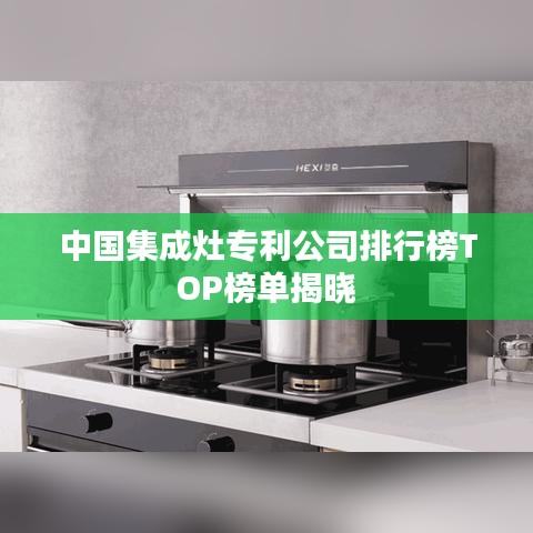 中国集成灶专利公司排行榜TOP榜单揭晓