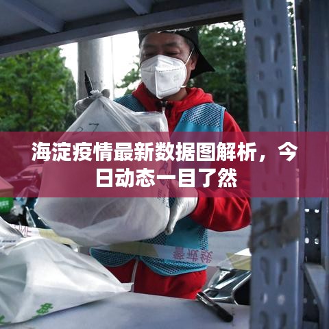 海淀疫情最新数据图解析,今日动态一目了然