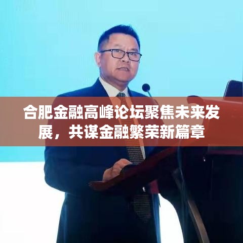 合肥金融高峰论坛聚焦未来发展，共谋金融繁荣新篇章