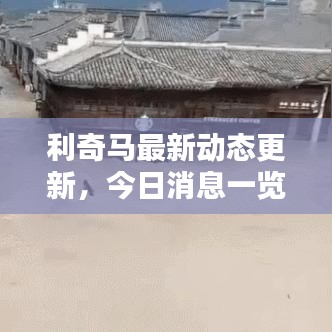 利奇马最新动态更新，今日消息一览