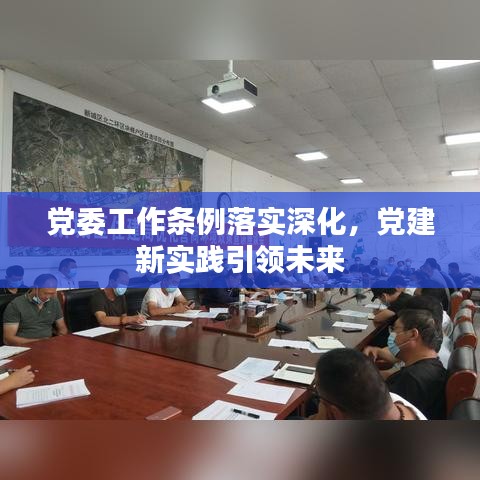 党委工作条例落实深化,党建新实践引领未来