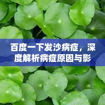 百度一下发沙病症，深度解析病症原因与影响