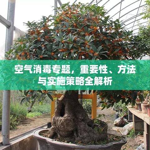 空气消毒专题，重要性、方法与实施策略全解析