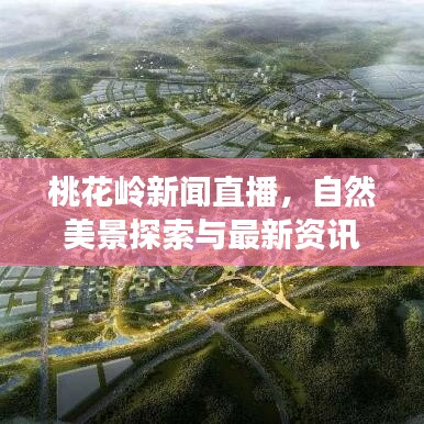 桃花岭新闻直播,自然美景探索与最新资讯传递