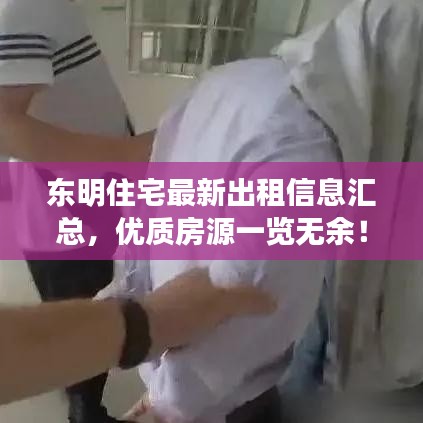 东明住宅最新出租信息汇总，优质房源一览无余！