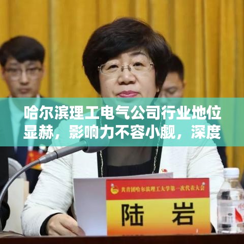 哈尔滨理工电气公司行业地位显赫，影响力不容小觑，深度解析其行业排名与影响力
