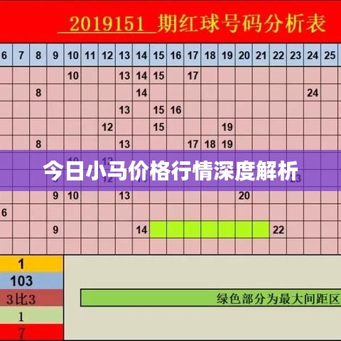 今日小马价格行情深度解析