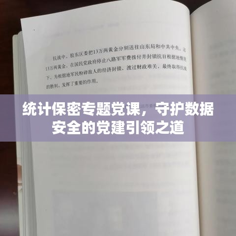 统计保密专题党课,守护数据安全的党建引领之道