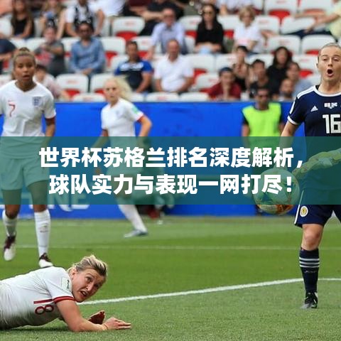 世界杯苏格兰排名深度解析，球队实力与表现一网打尽！