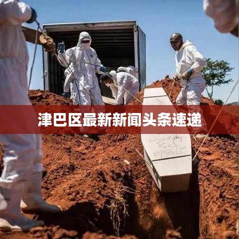 津巴区最新新闻头条速递