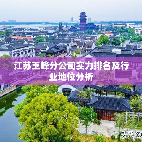 江苏玉峰分公司实力排名及行业地位分析