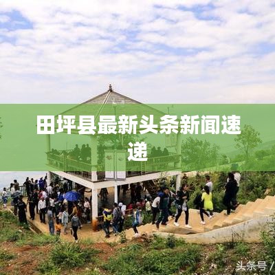 田坪县最新头条新闻速递
