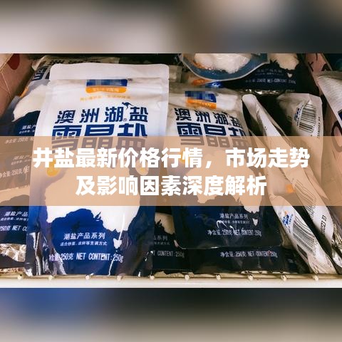 井盐最新价格行情，市场走势及影响因素深度解析