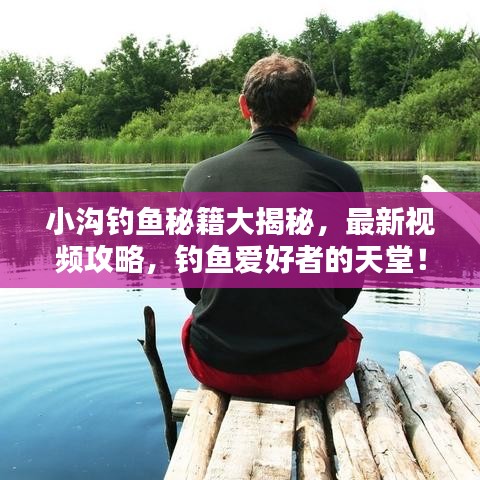 小沟钓鱼秘籍大揭秘，最新视频攻略，钓鱼爱好者的天堂！