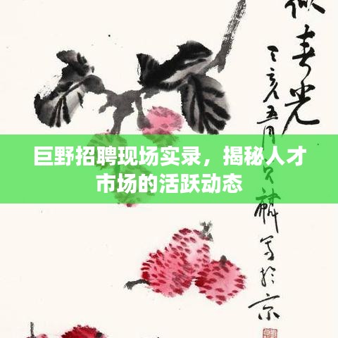 巨野招聘现场实录，揭秘人才市场的活跃动态