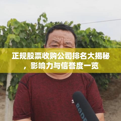 正规股票收购公司排名大揭秘,影响力与信誉度一览