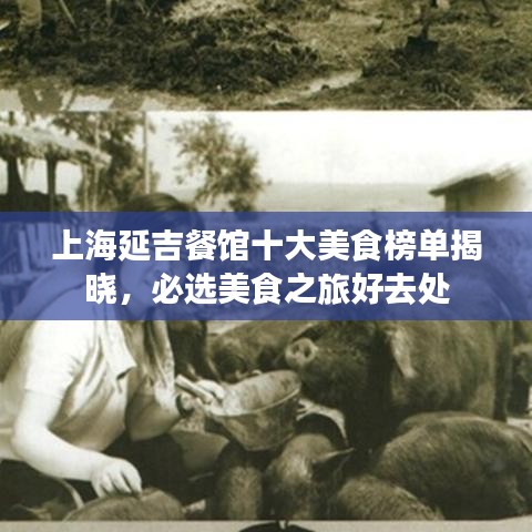 上海延吉餐馆十大美食榜单揭晓，必选美食之旅好去处