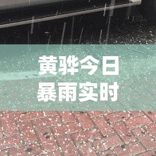 黄骅今日暴雨实时报道，最新消息与动态
