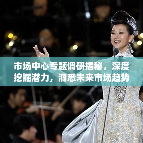 市场中心专题调研揭秘，深度挖掘潜力，洞悉未来市场趋势