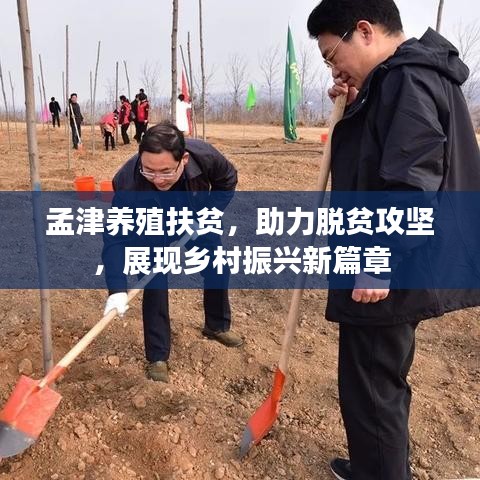 孟津养殖扶贫，助力脱贫攻坚，展现乡村振兴新篇章