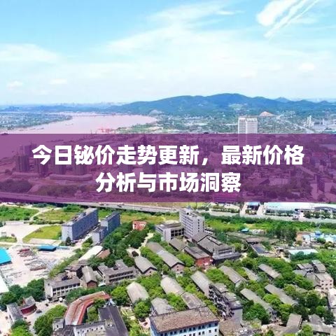今日铋价走势更新，最新价格分析与市场洞察