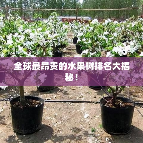 将陋就简 第7页