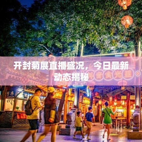 开封菊展直播盛况，今日最新动态揭秘