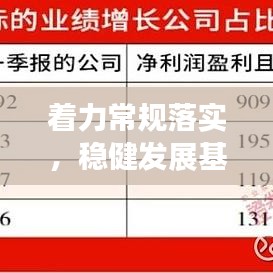 着力常规落实，稳健发展基石构建之路