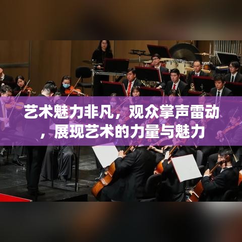 艺术魅力非凡,观众掌声雷动,展现艺术的力量与魅力