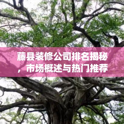 藤县装修公司排名揭秘，市场概述与热门推荐