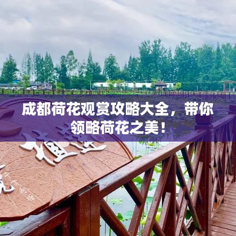 成都荷花观赏攻略大全,带你领略荷花之美!