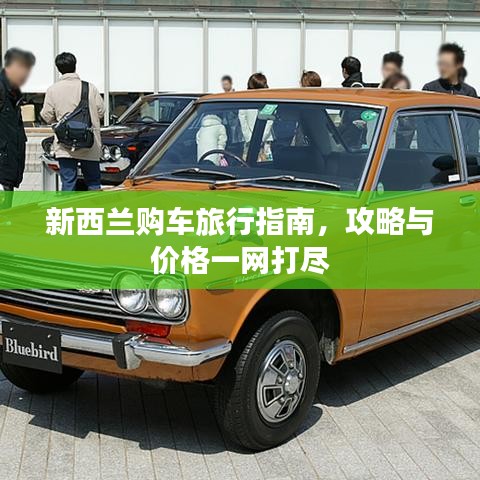 新西兰购车旅行指南，攻略与价格一网打尽