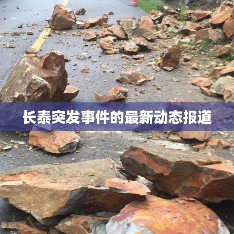 长泰突发事件的最新动态报道