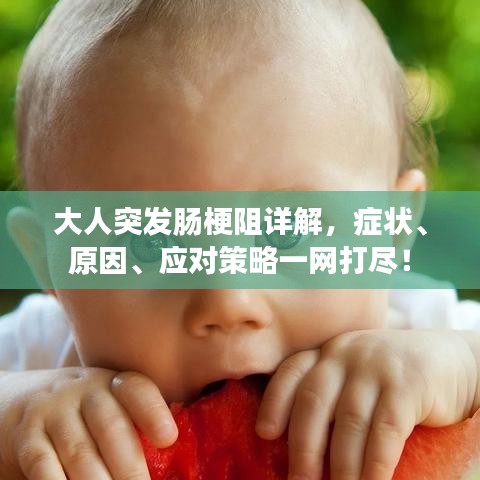 大人突发肠梗阻详解，症状、原因、应对策略一网打尽！